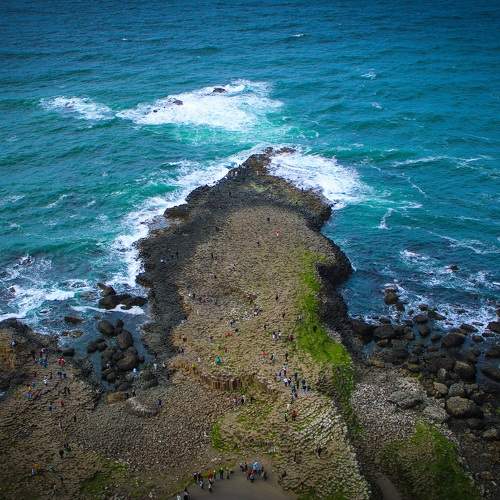 Photo #11470383