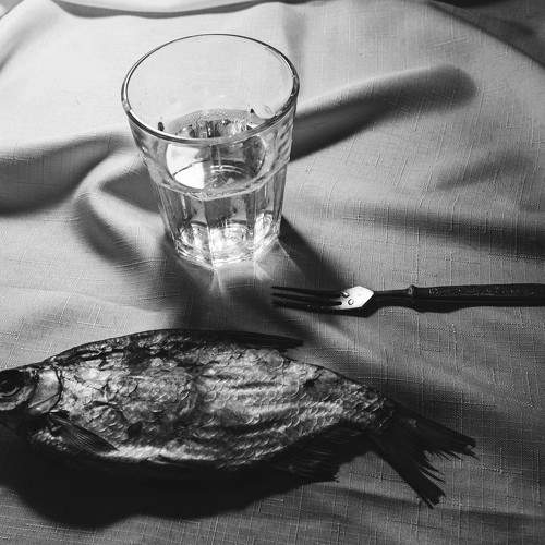 Photo #11470455