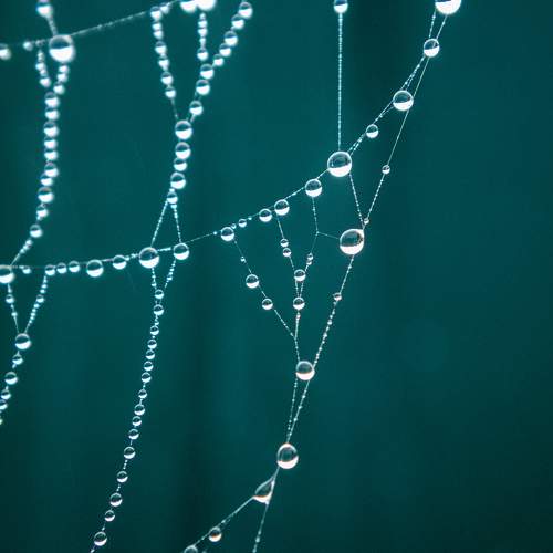 Photo #11470536