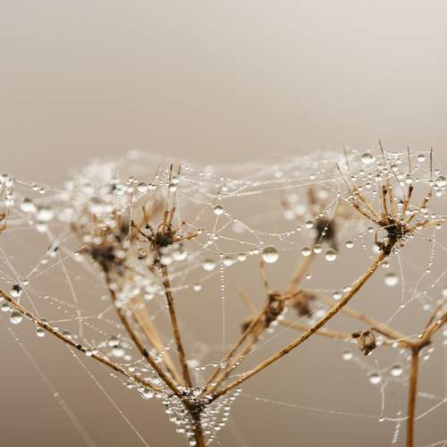 Photo #11470696