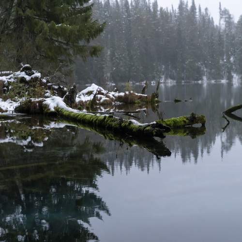 Photo #11470788