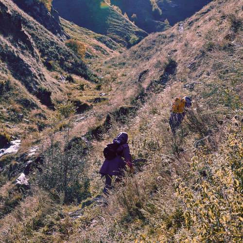 Photo #11470864