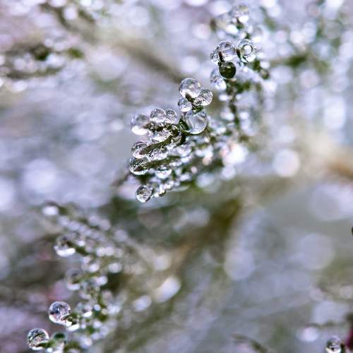 Photo #11471063
