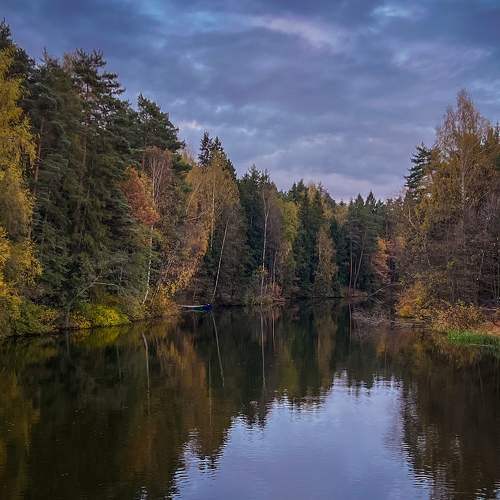 Photo #11471473