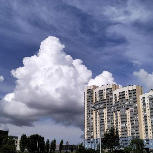 Photo #11471675