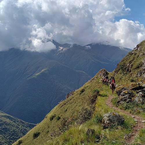 Photo #11471703