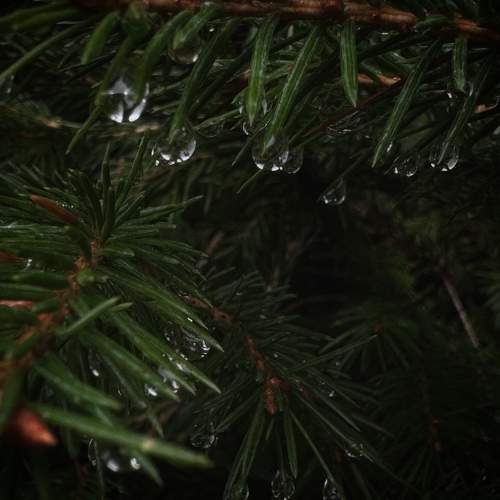 Photo #11471724