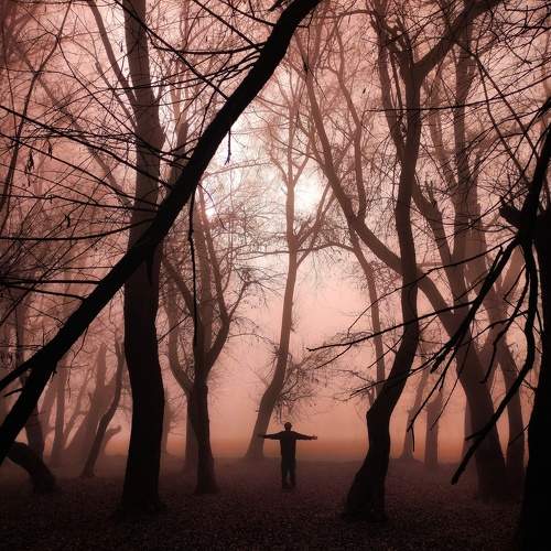 Photo #11471965