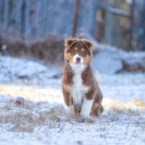 Photo #11472335