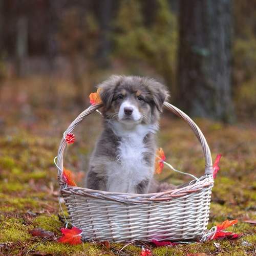 Photo #11472361