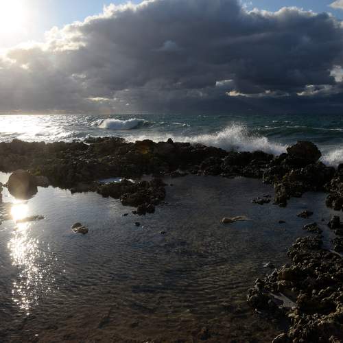 Photo #11472736