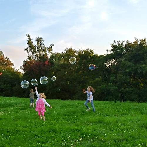 Photo #11472743