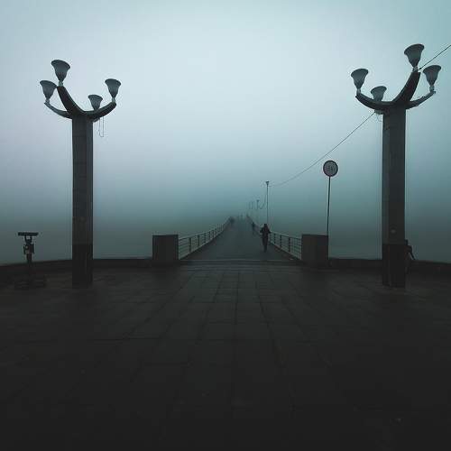 Photo #11473026