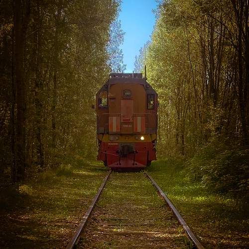 Photo #11473027