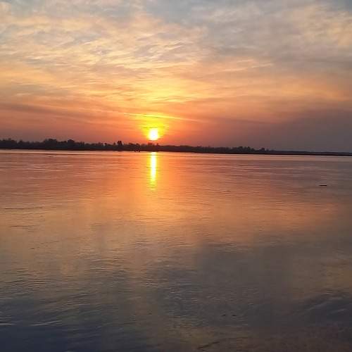 Photo #11473080