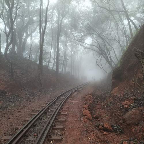 Photo #11473850