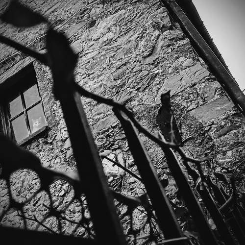 Photo #11474045
