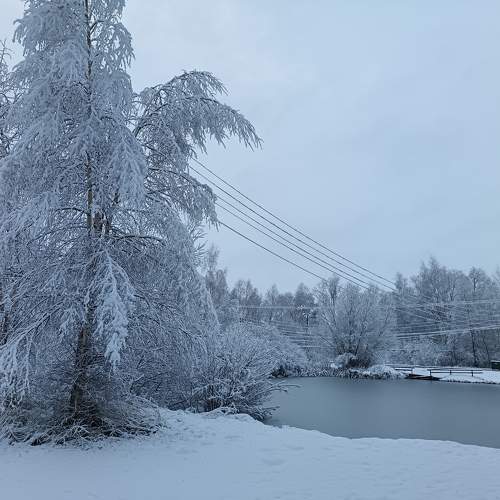 Photo #11474122