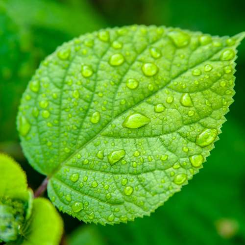 Photo #11474133