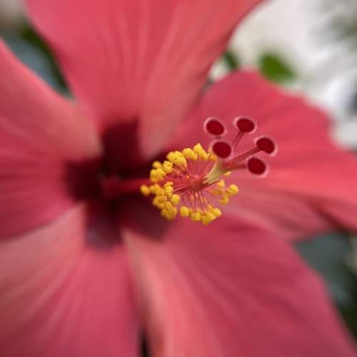 Photo #11474219