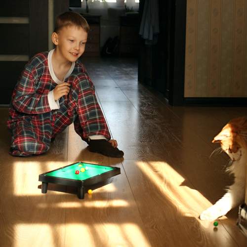 Photo #11474246