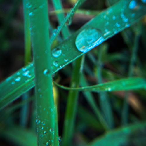 Photo #11474965