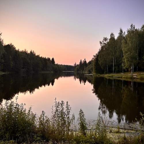 fishing by the pond