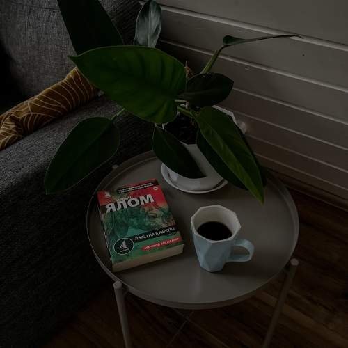 Photo #11475038