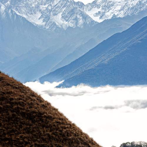Photo #11475249