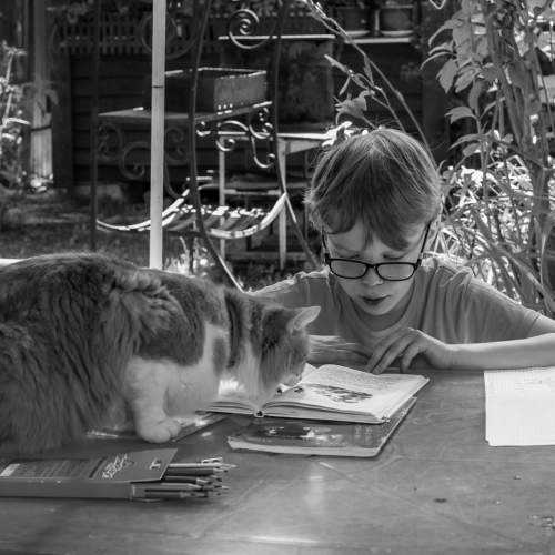 Photo #11475272