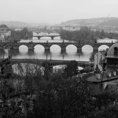 Photo #11475469