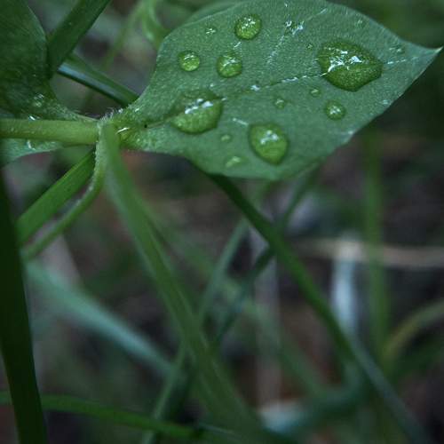 Photo #11475807