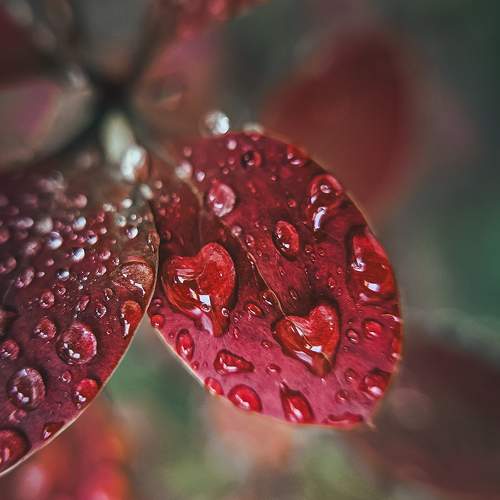 Photo #11476424