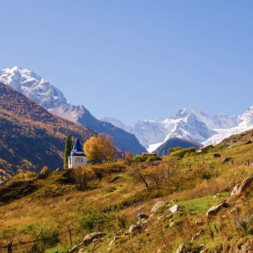 Photo #11476514