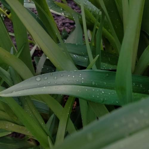 Photo #11476990