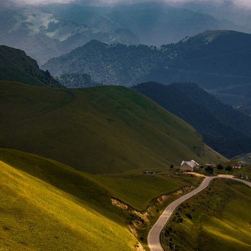 Photo #11477126