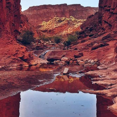 Photo #11477239