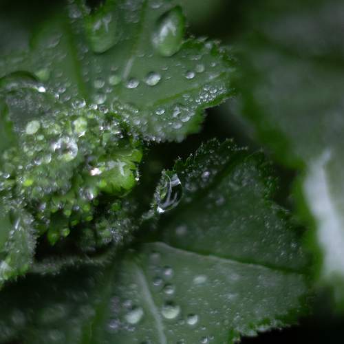 Photo #11477544