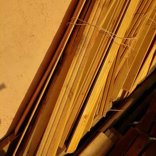 Photo #11477570