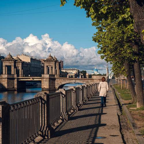 Photo #11477741