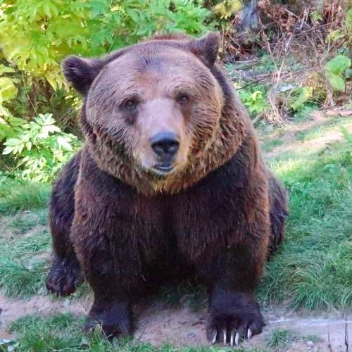 Photo #11477744