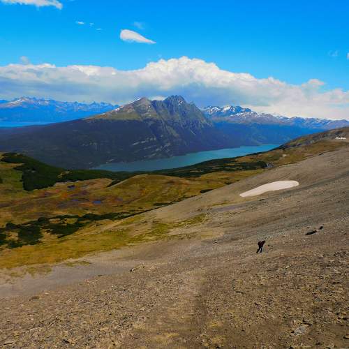 Photo #11477897