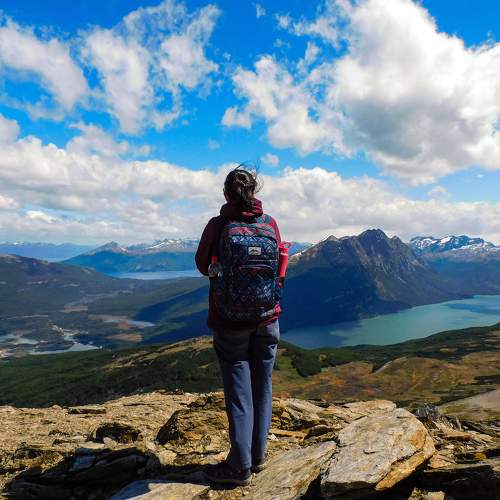 Photo #11477928