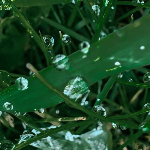 Photo #11477932
