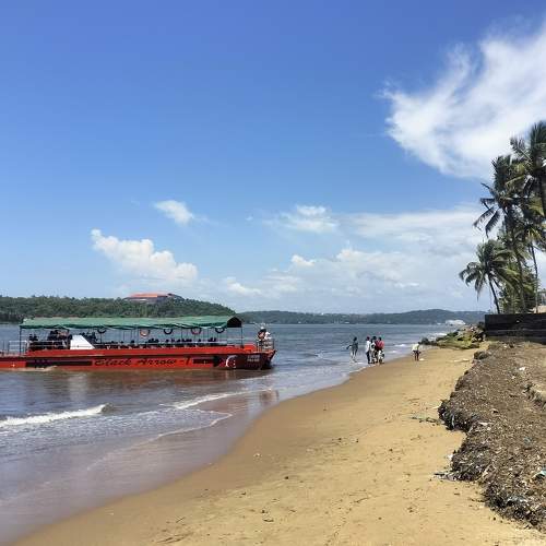 Photo #11477973