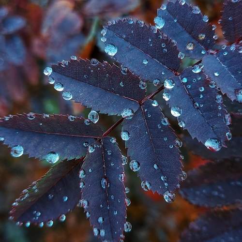 Фотография #11478032