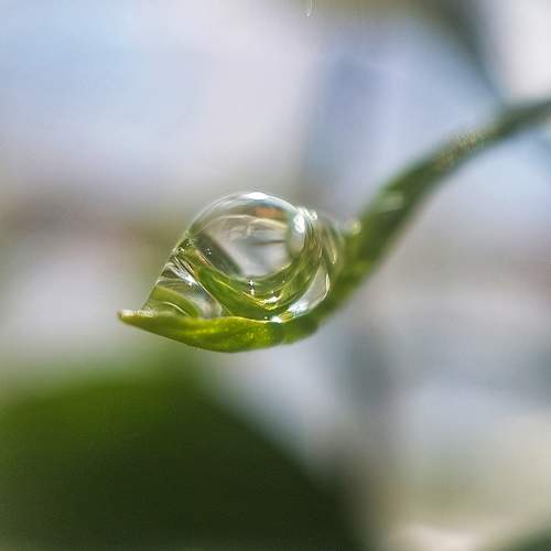 Фотография #11478120