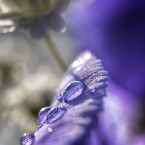 Фотография #11478172