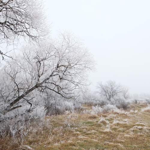 Photo #11478220