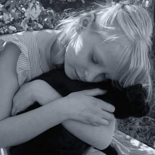 Photo #11478283